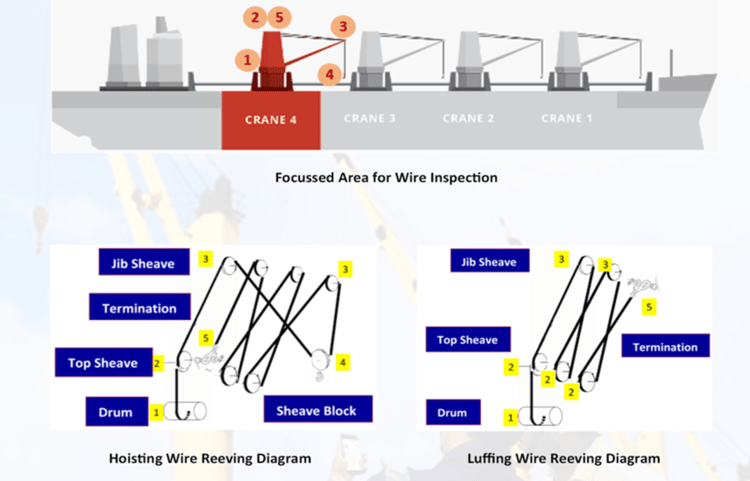 Critical area inspection points for wire ropes